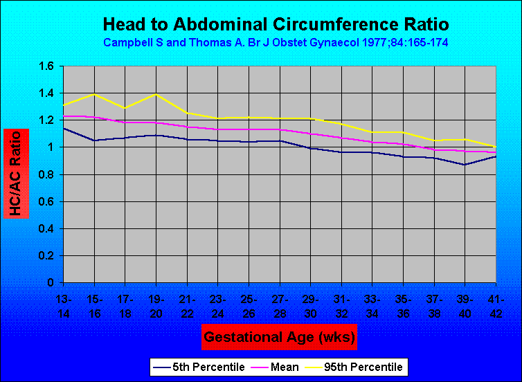 abdominal-circumference